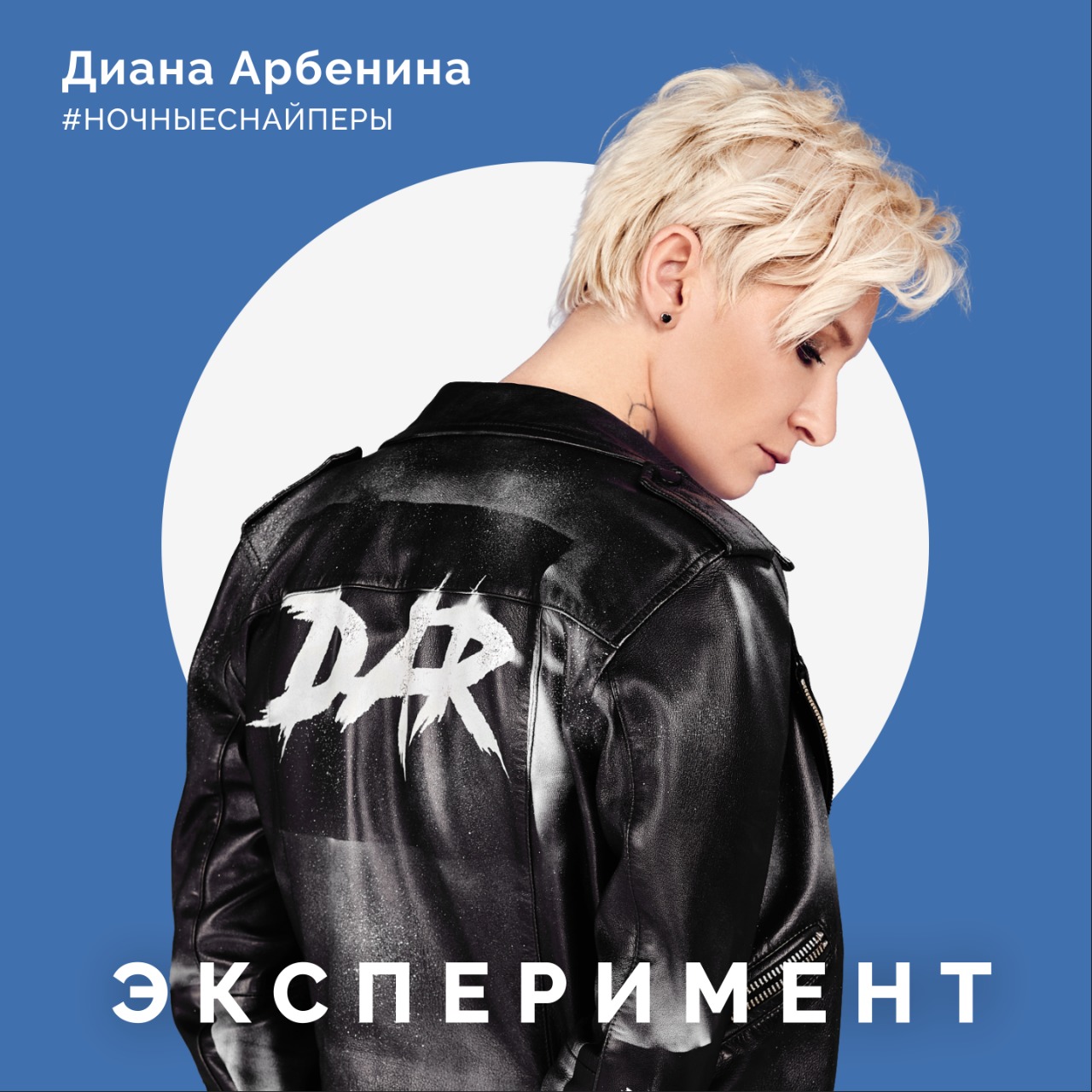 Диана Арбенина, Ночные Снайперы, Эксперимент
