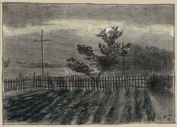 рисунок Саши Литвинова